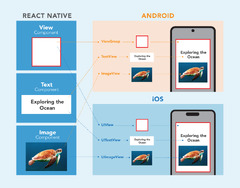 React Native (React Native View)