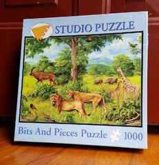 Pixie Studio Games Studio Puzzle Bits Pieces 1000 Piece Jigsaw Puzzle Pixie Studio Forest Floor (Pixie Studio COMPLETE! Bits & Pieces Studio Puzzles)