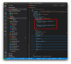 Visual Studio Code (Angular.json)