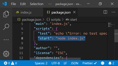 Visual Studio Code (MERN Stack)