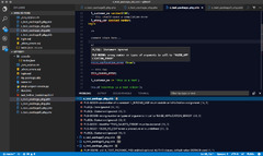 Visual Studio Code (Oracle SQL Developer)