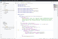 Karate API Testing: Debug in Visual Studio Code