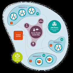 Agile transformations with the Scrum framework - Enterprise Agile ...