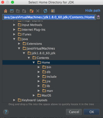 Android Studio (IntelliJ IDEA)