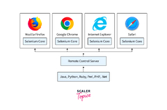 Selenium RC vs Selenium WebDriver - Scaler Topics