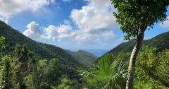 Reef Bay Trail, St John, US Virgin Islands