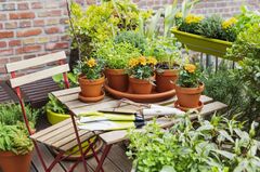 30 Best Small Garden Ideas - Clever Ideas for Small Gardens