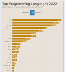 Popular%20Programming%20Language%202022''%20will%20be%20announced%20to%20...