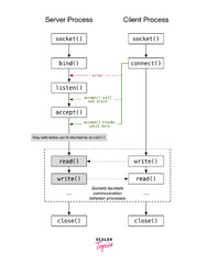 What%20is%20socket%20programming%20in%20C?%20-%20Scaler%20Topics