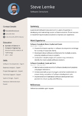 Software Consultant CV Examples (Template & 20  Tips)