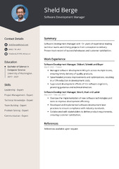 Software Development Manager CV Examples (Template & 20  Tips)