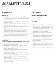 Software Development Project Manager Resume Samples | Velvet Jobs