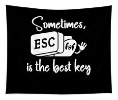 Software Engineer Computer Key Programming Developer Coder T-shirt (Sometimes ESC is the Best Key)