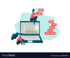 Software engineer programmers writing code Vector