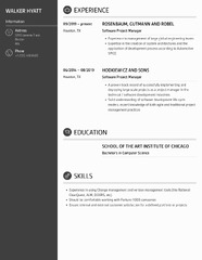 Software Project Manager Resume Samples | Velvet Jobs