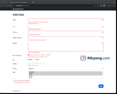 Spring%20MVC%20form%20handling%20example%20-%20Mkyong