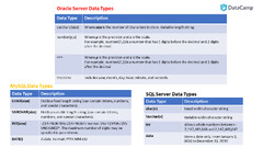 SQL:%20Reporting%20and%20Analysis%20%7C%20DataCamp