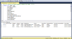 SQL Server Management Studio (Microsoft SQL Server)