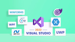 Microsoft Visual Studio 2022 Professional (Visual Studio)