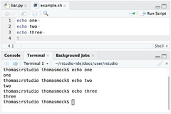 RStudio%20User%20Guide%20-%20Terminal