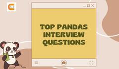 Top%2070%20Pandas%20Interview%20Questions%20and%20Answers%20(2024)%20-%20Naukri%20Code%20360