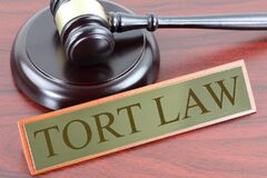 The Essential Elements of the Law of Tort: A Comprehensive Guide