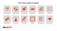 Agile%20Project%20Management%20-%20Insights%20and%20Best%20Practices