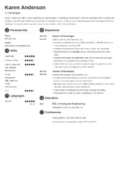 User Interface (UI) Developer Resume Sample & Guide