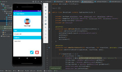 Flutter (Android Studio)