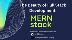 The Beauty of Stack Development : What is MERN Stack | Mindriser