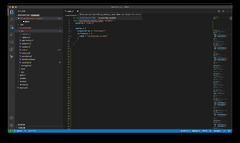 Visual Studio Code (HTML and CSS - Loading animation)