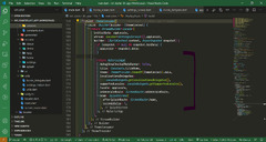 Visual Studio Code (RESTful JSON API written in Golang (SQL-/Swagger-first))