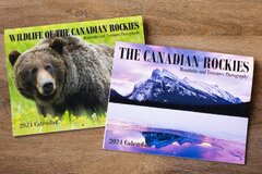 2024 Wildlife Photo Calendar | 2024 Animal Calendar - Mountains ...