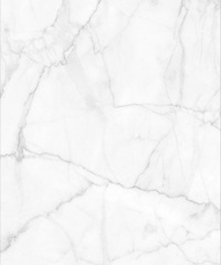 Marble • Luxury Realistic White Marble • Milton & King