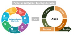 Software Testing Life Cycle