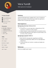 Web Application Developer CV Examples & Guide