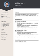 Web Developer CV Examples & Guide