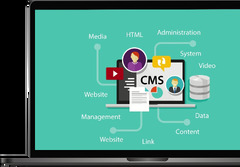 Web Development Services |-Stack Web Development Firm