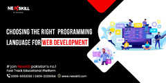 Choosing the Right Programming Language for Web Development ...