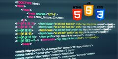 How to Choose the Right Web Programming Language to Use