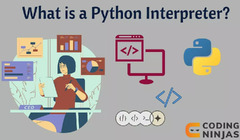 Python Interpreter