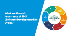 What%20is%20the%20Software%20Development%20Life%20Cycle?%20Stages%20of%20SDLC