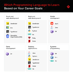 The 15 Best Programming Languages to Learn in 2024