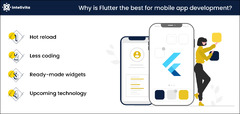 Why Choose Flutter for MVP Development? The Ultimate Guide