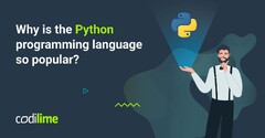 Why%20is%20the%20Python%20programming%20language%20so%20popular?%20-%20CodiLime