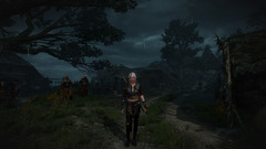 The Witcher 3 console commands and cheat codes | Rock Paper Shotgun