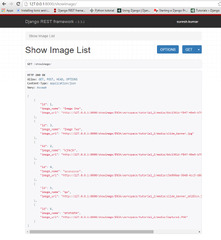 python - Django rest framework api - url is not returning ...