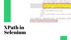 Smart Ways to Use XPath in Selenium - [Updated]