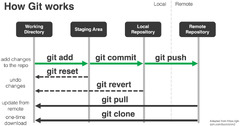 Hands-on: Versioning your code and data with git / Versioning your ...