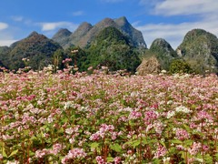 Phát huy giá trị văn hóa tạo nền tảng đưa du lịch Hà Giang "cất cánh"